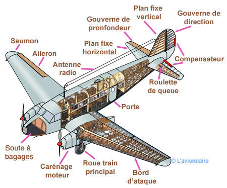 Dessin Caudron Goeland