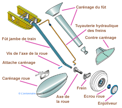 Jambe Gauche Ecorche Cessna