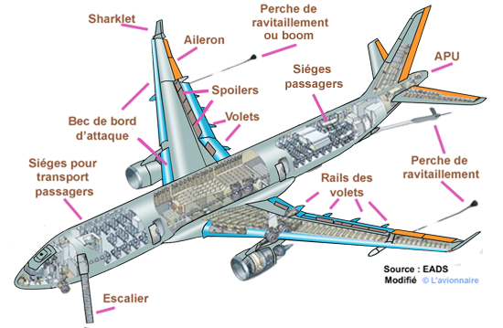  Ecorche Airbus 330 MRTT