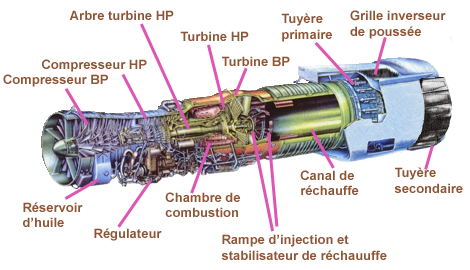 Olympus 593. Detail