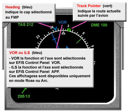 Nav Display Rose VOR