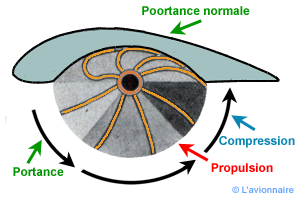 Spinning Rotor