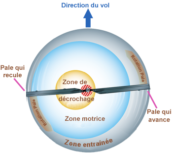 Autorotation translation