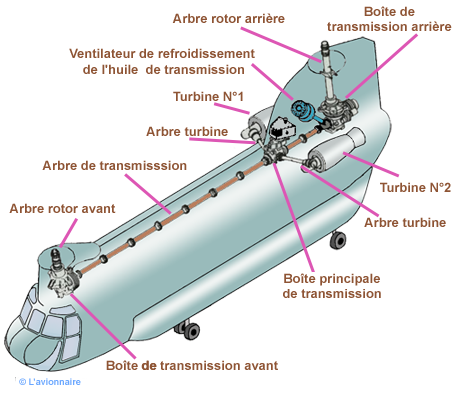 Trans chinook