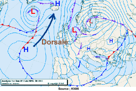 Perturbation dorsale