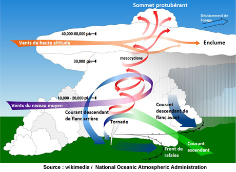 Cumulo SuperCellule