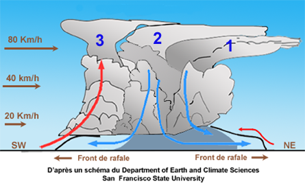 Evolution d'un orage tri cellule