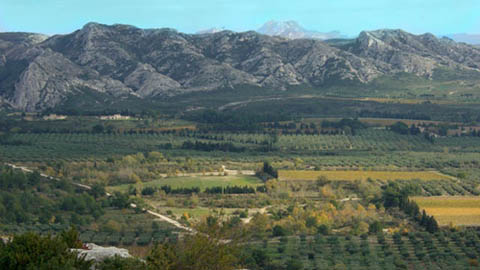 CollineAlpilles