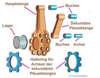 EtoileBielleMaitre Allemand