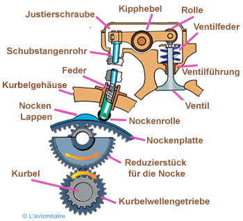 EtoileDistribut Allemand