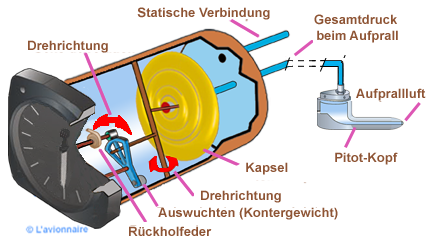 InstAnem Simplifie  Allemands