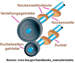 PlatArbreCame Allemand