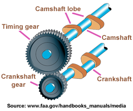 PlatArbreCameAnglais