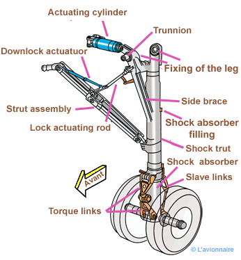 TrainPrincipalJambe320Anglais