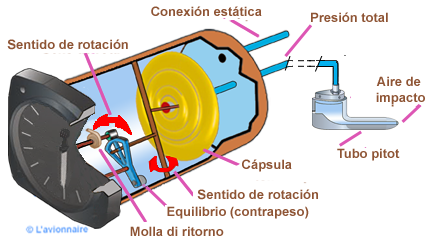 InstAnem Simplifie Espagnol