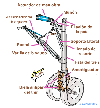 TrainPrincipalJambe320 Espagnol