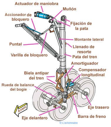 TrainPrincipalJambe321 Espagnol