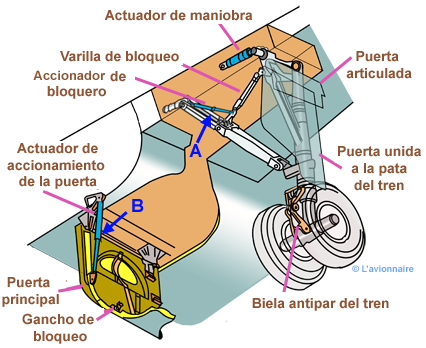 TrainTotalPrincipal320 Espagnol