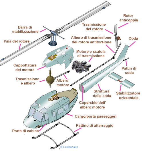 Helico cellule Italien