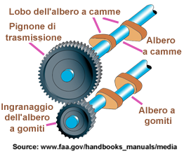 PlatArbreCame Italien