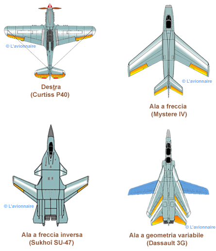 WingShapesDeuxItalien