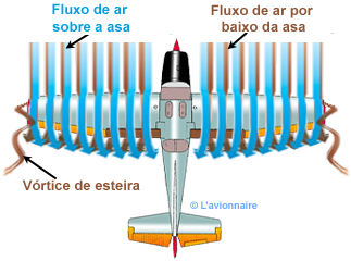 ArrowTraineeInduitePortuguais