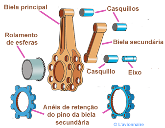 EtoileBielleMaitrePortugais