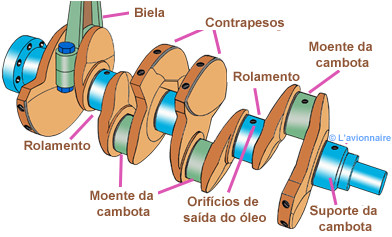 PlatVilebrequinPortugais