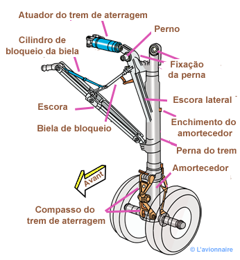 TrainPrincipalJambe320 Portugais