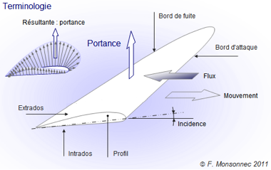 Terminologie